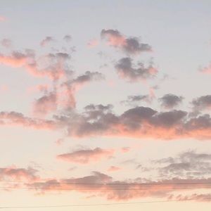 Meet your Posher, Anaya